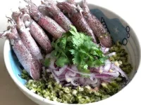 深澳漁港一排小卷